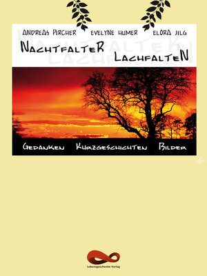 cover image of Nachtfalter Lachfalten